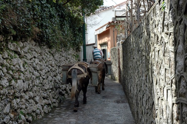 Ravello